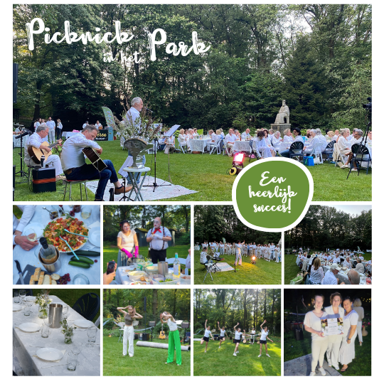Picknick heerlijk succes 1080 x 1480 px 3