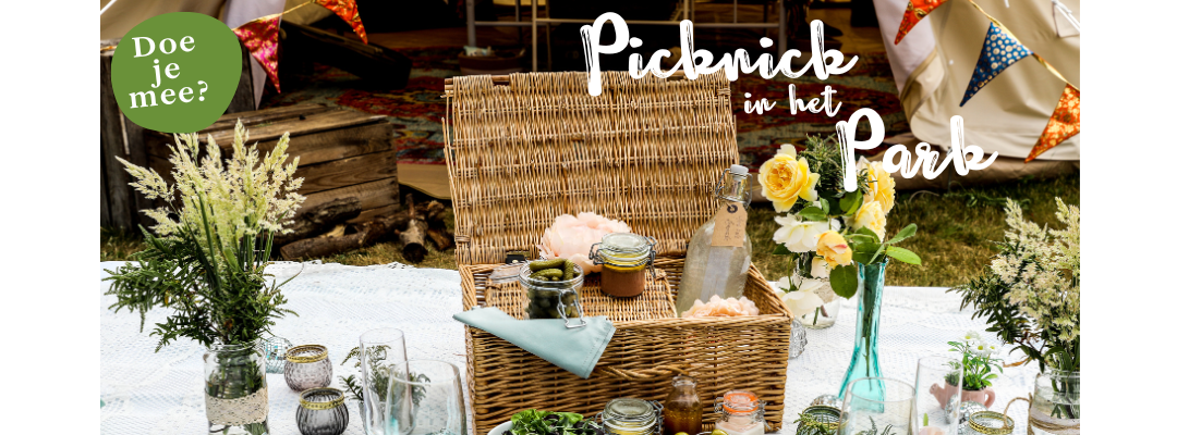 Picknick website